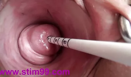 性感婊子真正的公共性