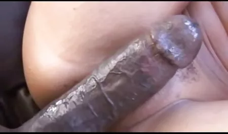 拉丁裔摩洛伊斯兰解放阵线Elisa喜欢大公鸡